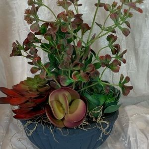DbyG Boutique - Coming Soon!  Exclusive Artificial Succulent Pottery Dish Garden